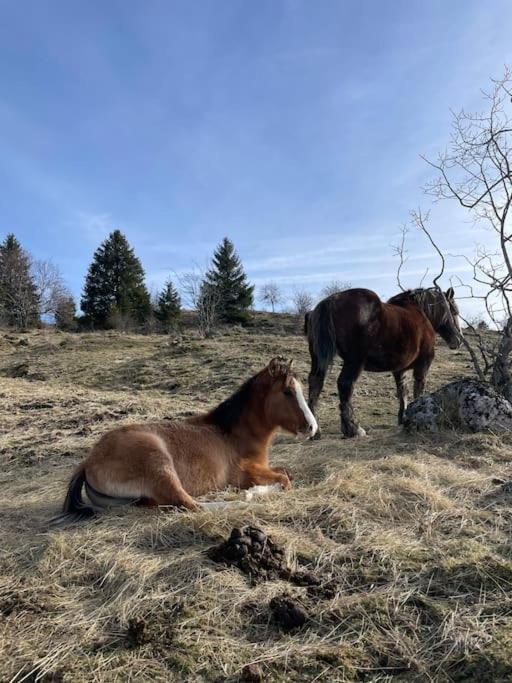 Chic & Champetre Au Coeur Du Haut-Jura Lamoura Exteriör bild